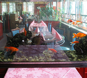 Im Aquarium spiegelt sich das Restaurant