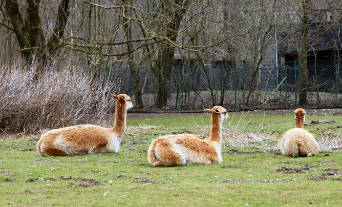 Foto: Else Hestermann