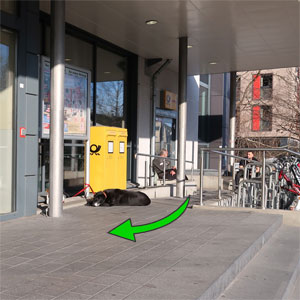 WC Kaufland München Berg am Laim Foto0