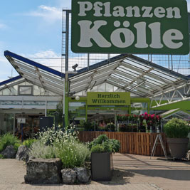 WC Pflanzen Kölle München Foto0