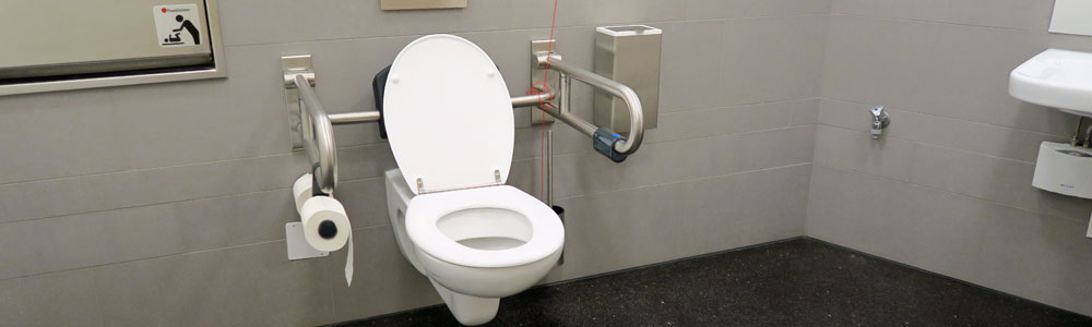 Sanitärraum mit WC-Becken.