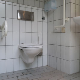 WC Waldheim Foto1